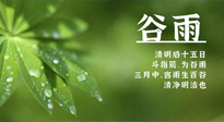 【二十四節氣灸】谷雨時節，用艾為您的健康加上一道保險！